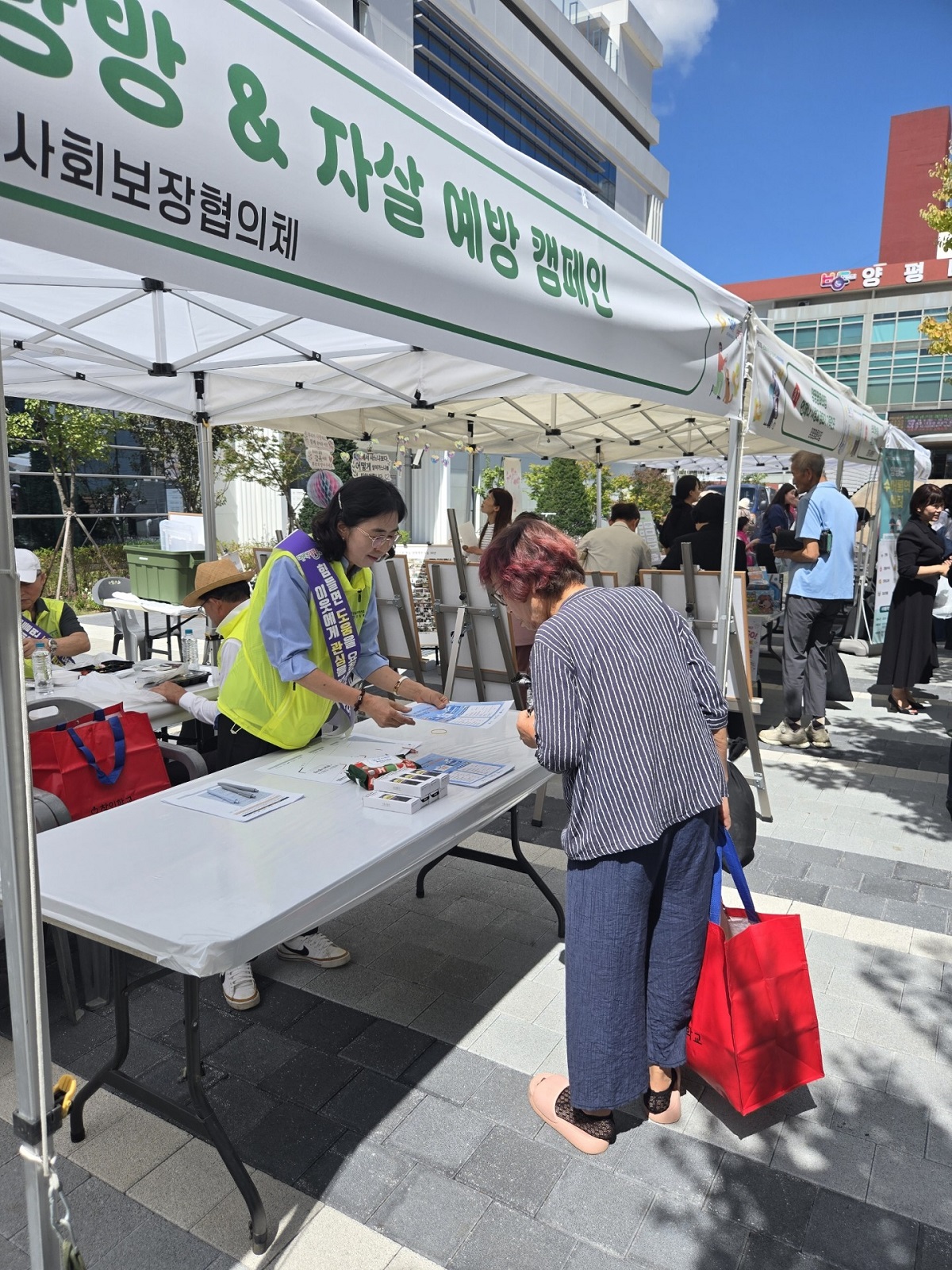 사진자료